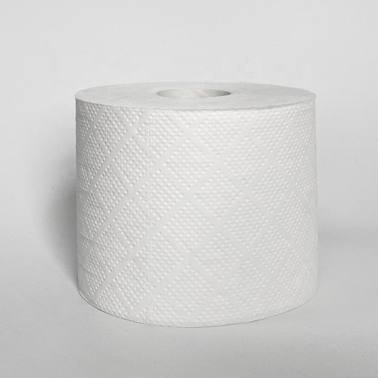 detail Toaletní papír (3)