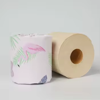 custom toilet paper (4)