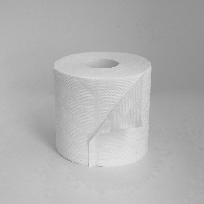 paper toilet (1)